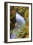 Rogue River Detail in Southern Orgeon-Vincent James-Framed Photographic Print