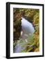 Rogue River Detail in Southern Orgeon-Vincent James-Framed Photographic Print