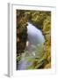 Rogue River Detail in Southern Orgeon-Vincent James-Framed Photographic Print