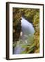 Rogue River Detail in Southern Orgeon-Vincent James-Framed Photographic Print