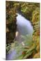 Rogue River Detail in Southern Orgeon-Vincent James-Mounted Photographic Print