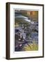 Rogue River Leaves in Motion-Donald Paulson-Framed Giclee Print