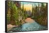 Rogue River, Oregon-null-Framed Stretched Canvas