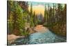 Rogue River, Oregon-null-Stretched Canvas