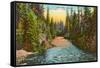 Rogue River, Oregon-null-Framed Stretched Canvas