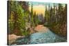 Rogue River, Oregon-null-Stretched Canvas