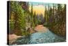 Rogue River, Oregon-null-Stretched Canvas