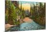 Rogue River, Oregon-null-Mounted Premium Giclee Print