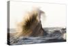 Rogue Wave-Mark Spowart-Stretched Canvas