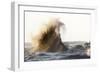 Rogue Wave-Mark Spowart-Framed Premium Giclee Print