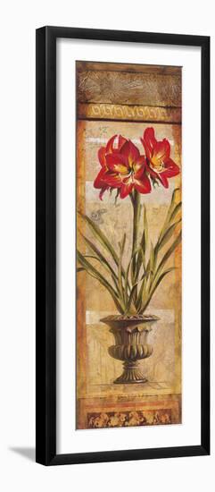 Rojo Botanical III-Douglas-Framed Giclee Print