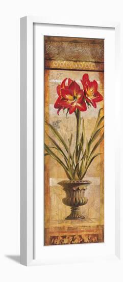 Rojo Botanical III-Douglas-Framed Giclee Print