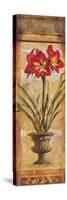Rojo Botanical III-Douglas-Stretched Canvas