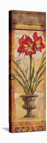 Rojo Botanical III-Douglas-Stretched Canvas