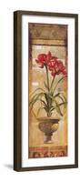 Rojo Botanical IV-Douglas-Framed Giclee Print