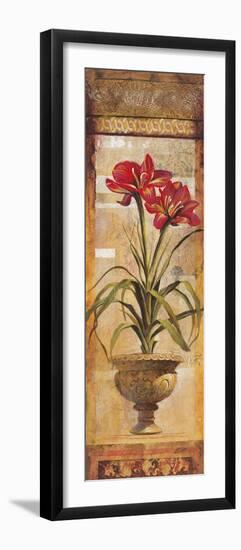 Rojo Botanical IV-Douglas-Framed Giclee Print