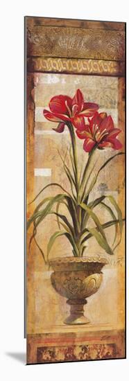 Rojo Botanical IV-Douglas-Mounted Giclee Print