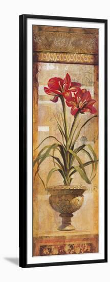 Rojo Botanical IV-Douglas-Framed Giclee Print