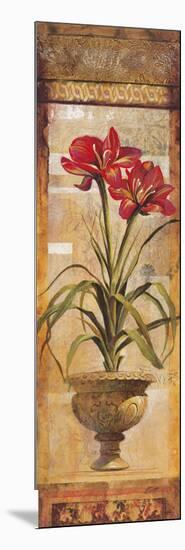 Rojo Botanical IV-Douglas-Mounted Giclee Print