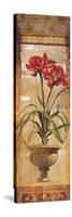 Rojo Botanical IV-Douglas-Stretched Canvas