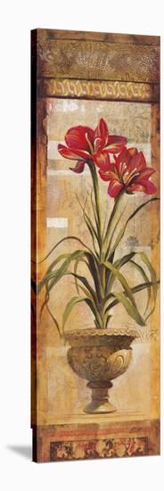 Rojo Botanical IV-Douglas-Stretched Canvas