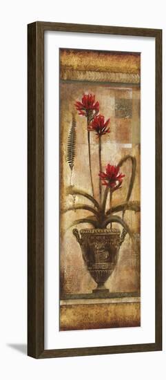 Rojo Botanical VII-Douglas-Framed Giclee Print