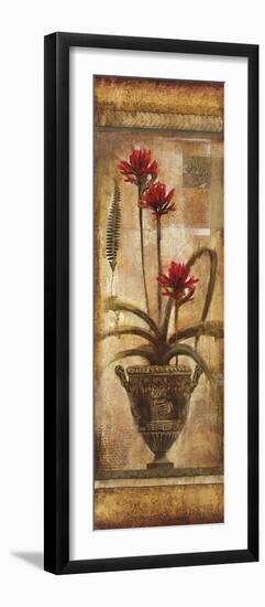 Rojo Botanical VII-Douglas-Framed Giclee Print