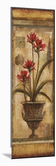 Rojo Botanical VIII-Douglas-Mounted Giclee Print