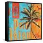 Rojo Palm II-Paul Brent-Framed Stretched Canvas