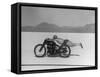 Roland Free Breaking World's Speed Record on Bonneville Salt Flats While Laying on His Bike-Peter Stackpole-Framed Stretched Canvas