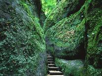 Stairs to the Mary's gorge-Roland Gerth-Photographic Print