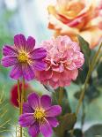 Cosmos, Dahlias and Roses (Fabric Flowers)-Roland Krieg-Photographic Print