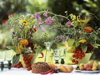 Summery Floral Decoration with Vine Tomatoes-Roland Krieg-Photographic Print