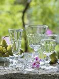 Various Glasses-Roland Krieg-Photographic Print