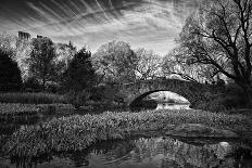 Magic Of Central Park-Roland Photography-Photographic Print