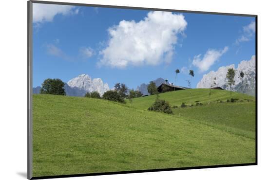 Photographic Print, , large