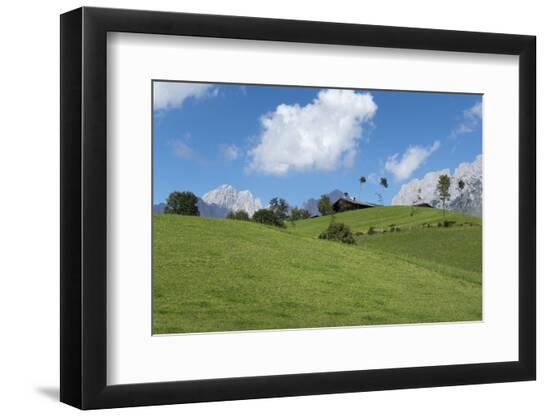 Premium Photographic Print, , large