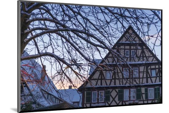 Photographic Print, , large
