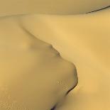 Dunes, Grass, the North Sea, Island Langeoog, Fog-Roland T.-Photographic Print