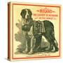 Roland the Largest St. Bernard in the World Trade Card-null-Stretched Canvas