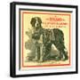 Roland the Largest St. Bernard in the World Trade Card-null-Framed Giclee Print