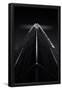 Essential Black