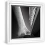 White Frame