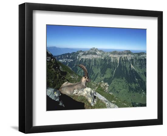 Premium Photographic Print, , large
