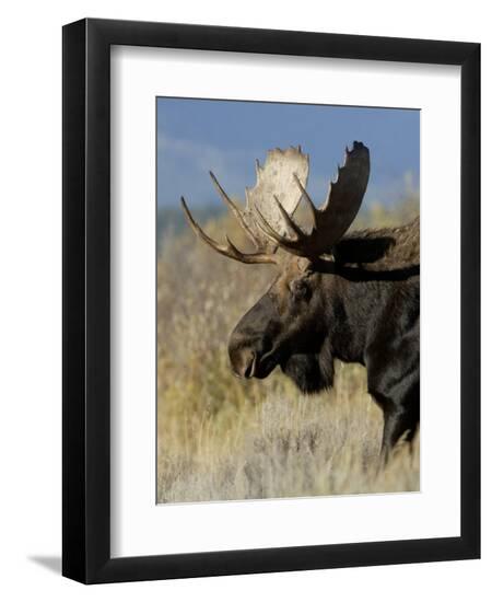 Premium Photographic Print, , large