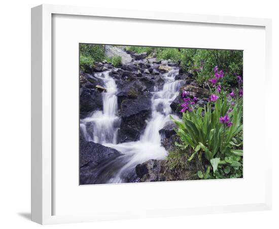 Framed Photographic Print, , large