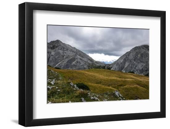 Premium Photographic Print, , large