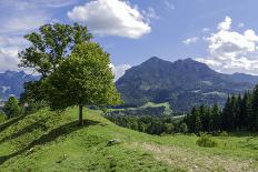 Sunrise in the Fladinger Mountain On the Left, Alps, South Tirol-Rolf Roeckl-Photographic Print