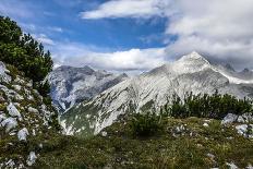 Mountain Pines and Grass in the Back of the Reps, View at Kaltwasserspitzet and Southern Sonnenspit-Rolf Roeckl-Photographic Print