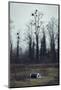 Roll of asparagus foil at the edge of a wood, lying in the grass-Axel Killian-Mounted Photographic Print